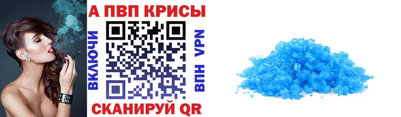 мориарти телеграм  Кяхта  Альфа ПВП СК КРИС 