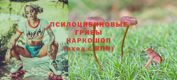 мяу мяу мука Армянск