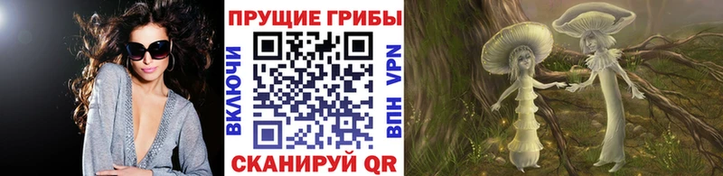 гидра как войти  shop официальный сайт  Псилоцибиновые грибы мухоморы  Кяхта 